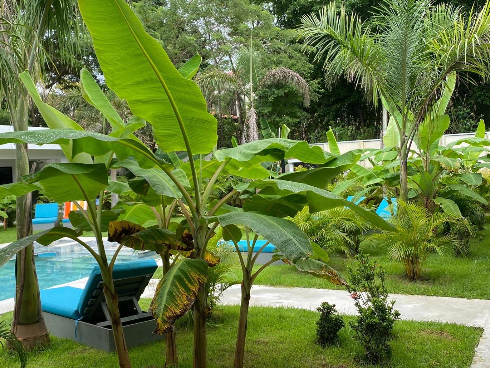 Hotel Good Life Coco Εξωτερικό φωτογραφία